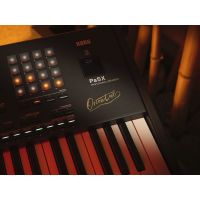 Korg Clavier arrangeur Pa5X Oriental 61 notes - Vue 4